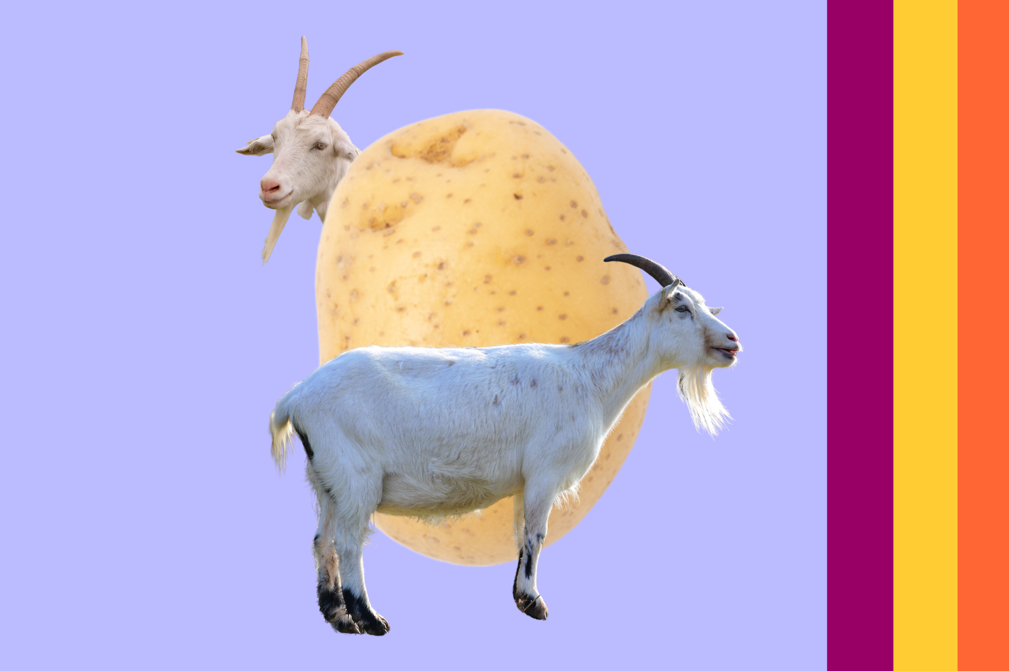 Wywiad Ewa Mikula (6)